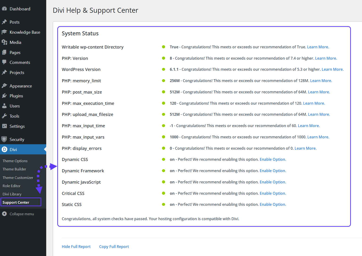 Divi System Status