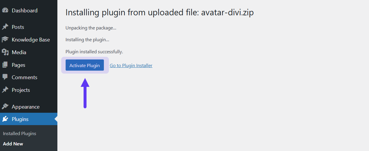 Install and Activate the Plugin